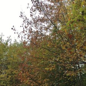 Meet your Posher, Cecilia